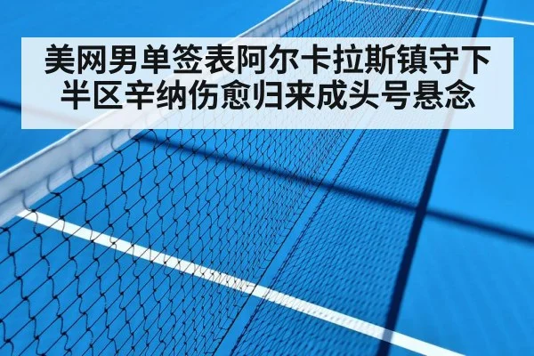 Alcaraz tennis hard court