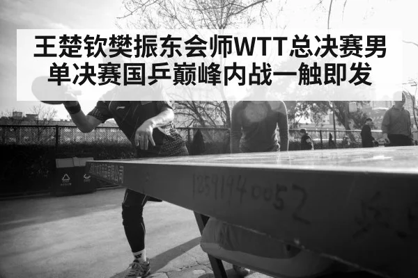 王楚钦樊振东会师WTT总决赛男单决赛国乒巅峰内战一触即发